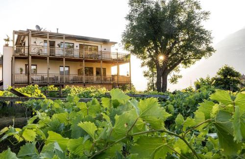 Magre sulla Strada del Vino Apartment | Bio Weingut Sanin im Südtirols Süden