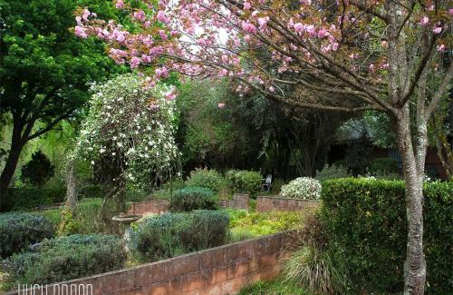 Underberg Cabin | Birches Cottage & the Willows Garden Room