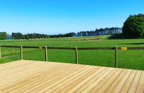 Stonehaven Other | Birchlea Caravan