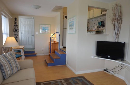 Isle of Palms Condo | Bird's Eye View #203 1 Bed + Sleeper Dog Friendly