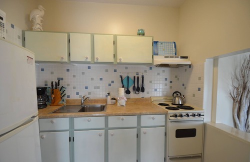 Isle of Palms Condo | Bird's Eye View #203 1 Bed + Sleeper Dog Friendly