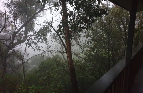 Katoomba House | Black Cockatoo - Secret Garden Mountains Home