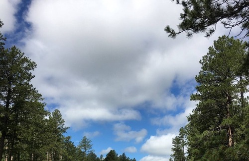 Nemo Cabin | Black Hills - Little Elk Cabin (CCC Built) in Scenic Vanocker Canyon Near Nemo