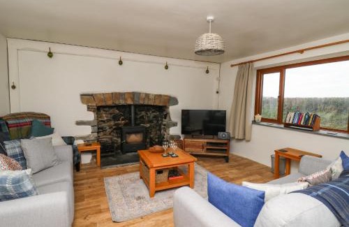 Llanllwchaiarn House | Blaenferwig
