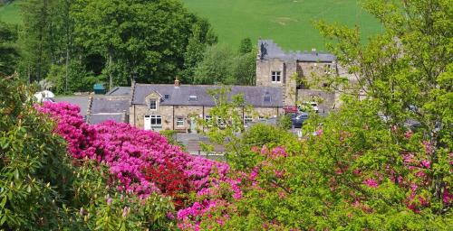 Brampton Bed & Breakfast | Blenkinsopp Castle Inn