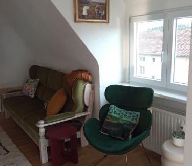 Villingen-Schwenningen Apartment | Blick auf den Magdalenenberg