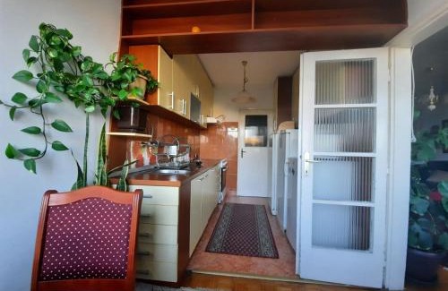 Vozdovac Apartment | Bliri Bliri