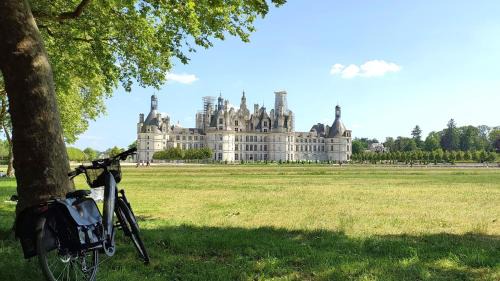 Blois Apartment | Blois City - Le Petit Saint Jean