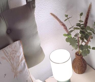 Blois Apartment | Blois City - Le Petit Saint Jean