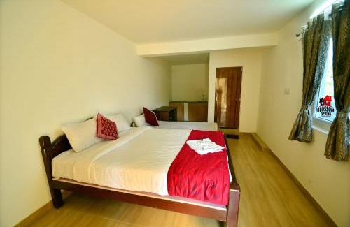 Ooty Hotel | Blossom Spring Villa
