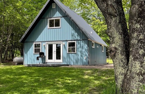 Winter Cabin | Blue Bungalow on Lake Winter 4 seasons of family fun: Fish/ATV/Snowmobile/Relax