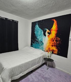 Downtown Cancun Apartment | Blue Dolphin