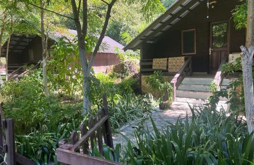 Mesopotam Ski Chalet | Blue Eye Villas