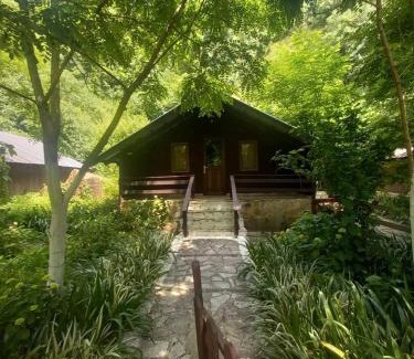 Mesopotam Ski Chalet | Blue Eye Villas
