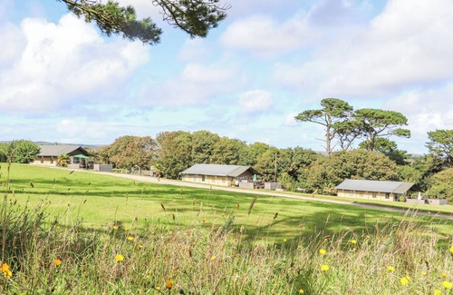 Chysauster Cottage | Bluebell