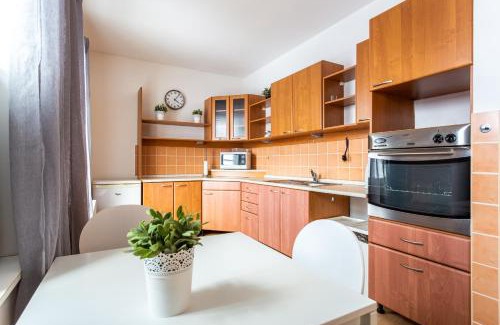 Bozi Dar Apartment | Boží Dar 95