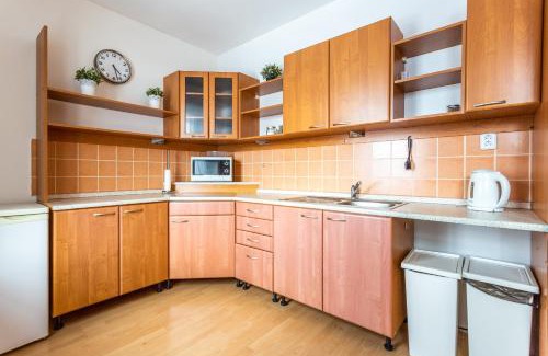 Bozi Dar Apartment | Boží Dar 95