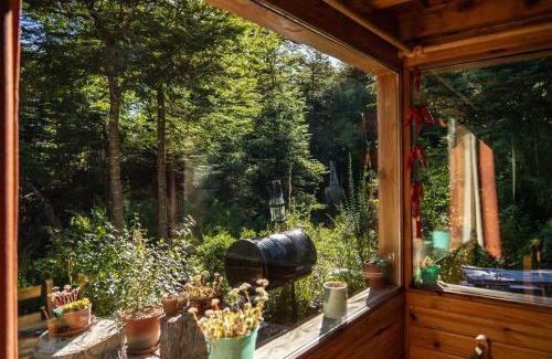 Correntoso House | BOG Budas del Bosque