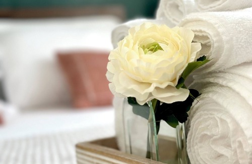 Croissant Park House | BOHO Elegance in the FLL city!