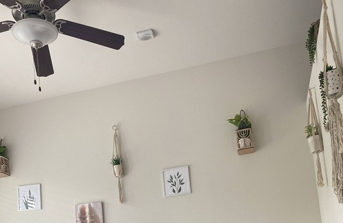 Boulevard Oaks Apartment | BOHO HIDEOUT