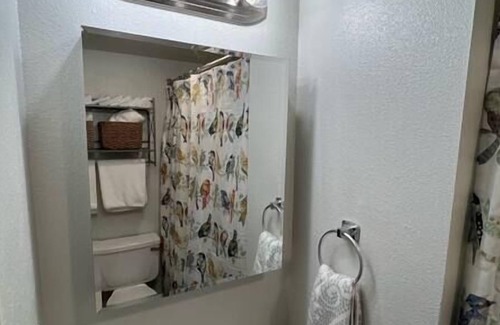Veterans Park Apartment | Boise Apt Convenient and Cute!