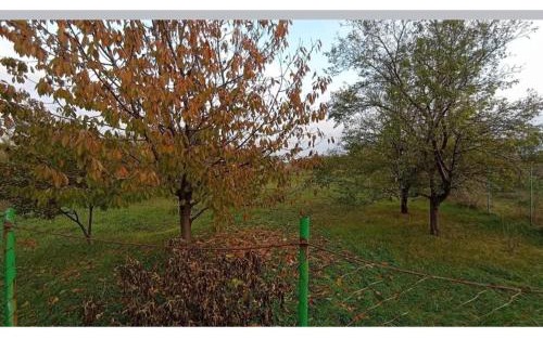 Vojvodina House | Boki-Boka