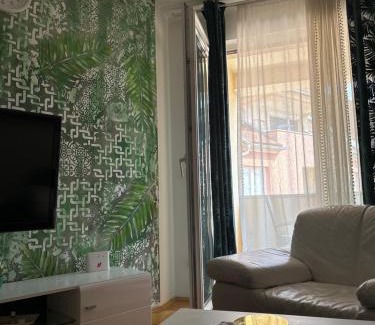 Mladenovac Apartment | bona loca