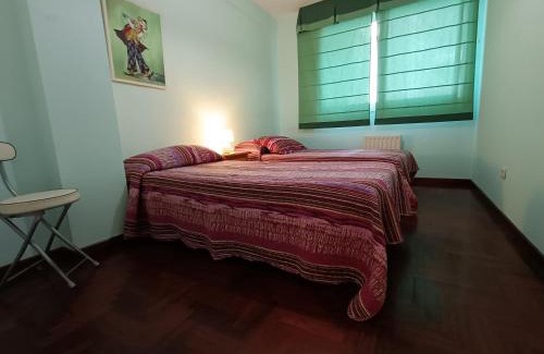 Santiago de Vigo Apartment | Bonito apartamento en pleno centro VUT-PO-7494