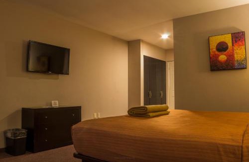 Tampico Hotel | BONITTO INN® Tampico Lomas