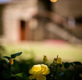 Pieve di Chio Apartment | Borgo Al Teto La Vite