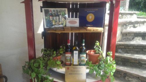 San Gimignano House | Borgo Montauto