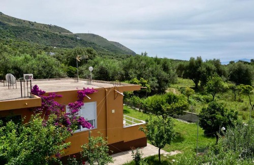 Borsh House | Borsh Private House