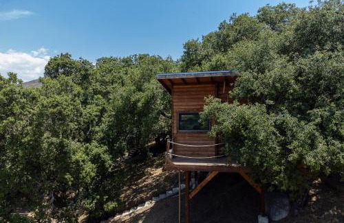 San Antonio de las Minas Hotel | Boskenvid Hotel - Romantic Treehouses & Skypool