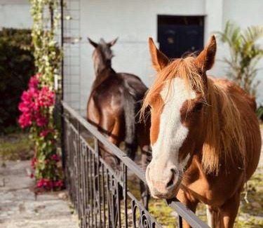 Sangolqui Hotel | Boutique Hotel La Carriona