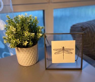 Bow West House | Bow House - SleepyLodge