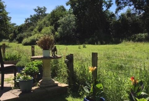 Midhurst House | Bridge Cottage