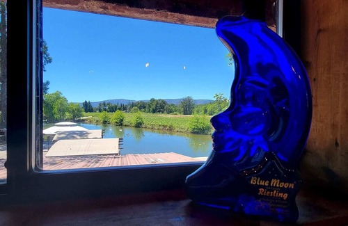 Cave Junction Apartment | Bridgeview Winery Suite With Gorgeous Mountain Views and Scenic Outdoor Space!