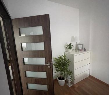 Nyiregyhaza Apartment | BRL Apartman