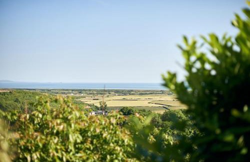 Llanybri House | Brofallen