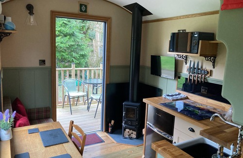 Saltash Cabin | Brook the shepherds hut in tranquil wooded surroundings