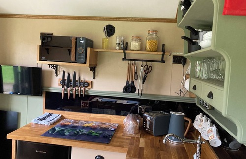 Saltash Cabin | Brook the shepherds hut in tranquil wooded surroundings