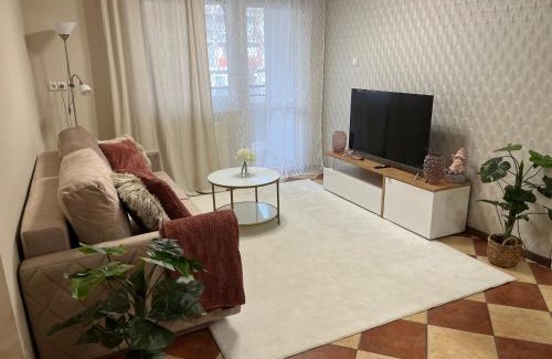 Debrecen Apartment | Brookforest Centrum Apartman