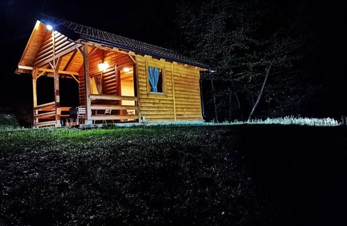 Mladenovac House | Brvnara Elena