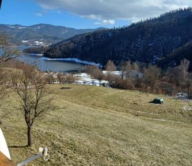 Bajina Basta Apartment | Brvnara JEZDA