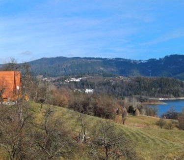 Bajina Basta Apartment | Brvnara JEZDA
