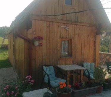 Zlatibor House | Brvnara Krin 3