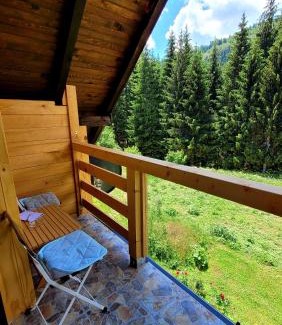 Bajina Basta House | Brvnara Miris Bora