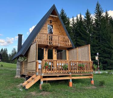 Bajina Basta Ski Chalet | Brvnara Panda Tara