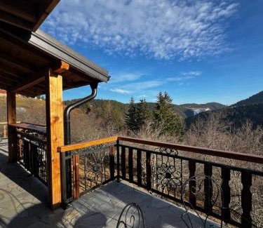 Zlatibor House | Brvnara Pogled Zlatara