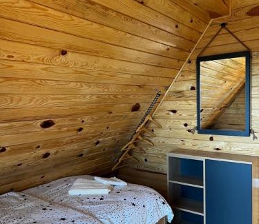 Zlatibor House | Brvnara Pogled Zlatara